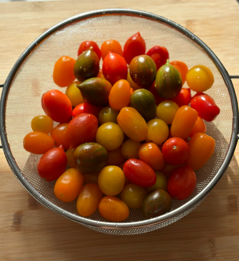 עגבניות שרי ברשת