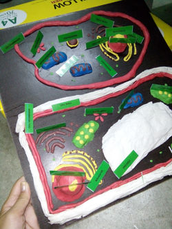 IMG20170525002949[1]