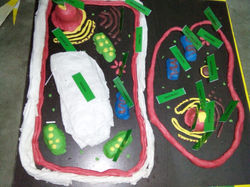 IMG20170525002632[1]