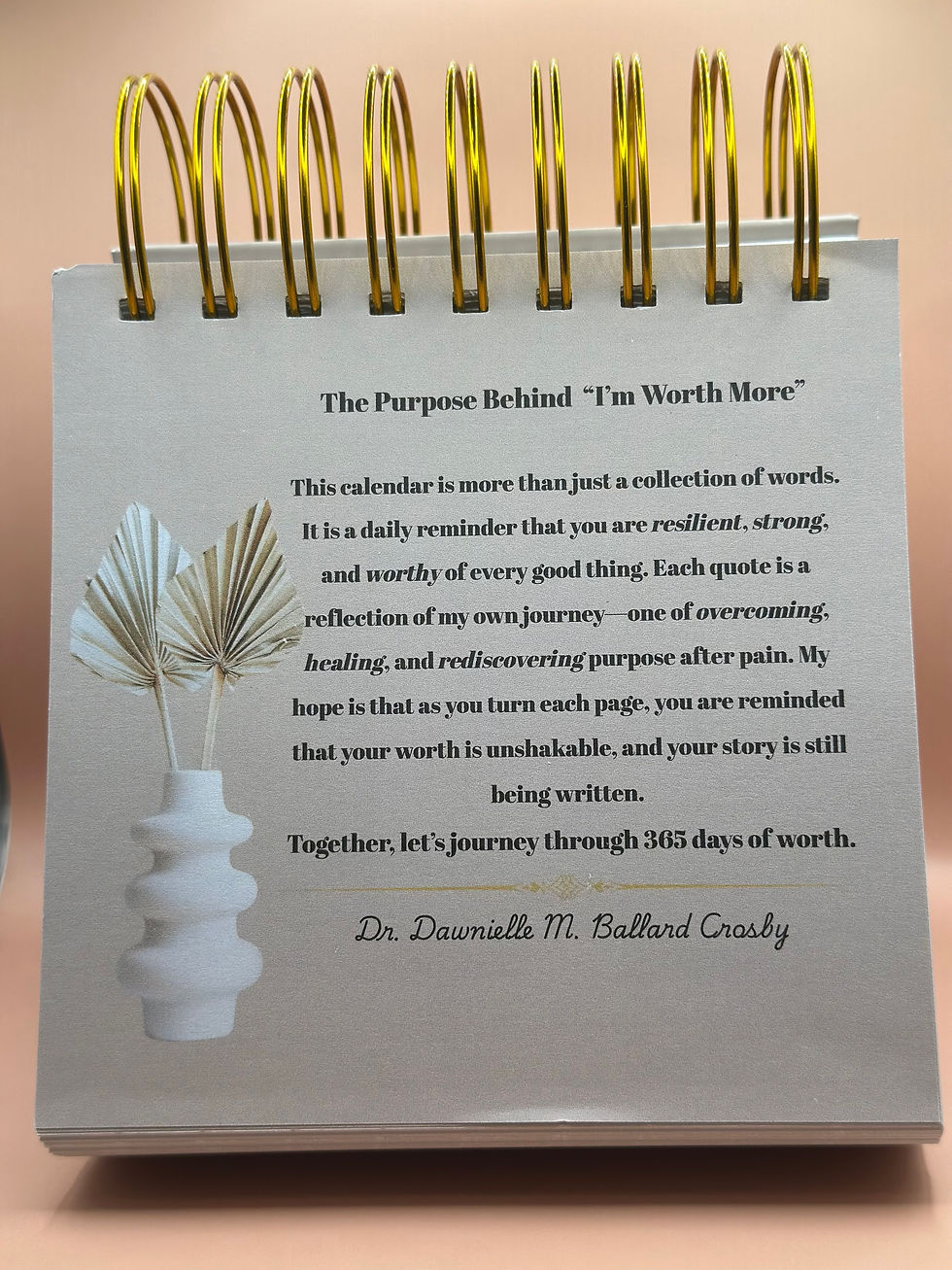 Thumbnail: I’m Worth More:365 Days of Worth Perpetual Desk Calendar