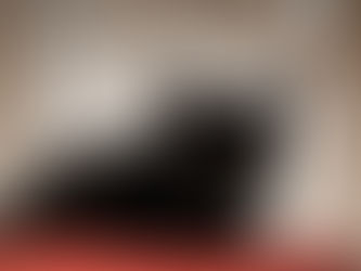 🐾 L'instant F(o)urbaby de... Chanel : routine et changement 🐾