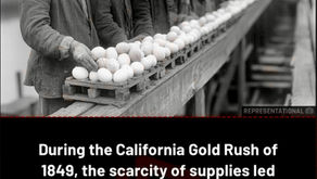 The Yelm Egg Project