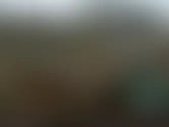 Du nouveau dans nos sorties 