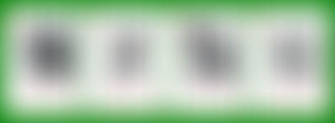 Holbein's Praise of Folly Pack