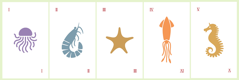Jellyfish (Cnidaria), Shrimp (Arthropoda), Starfish (Echinodermata), Squid (Mollusca), & Seahorse (Chordata)