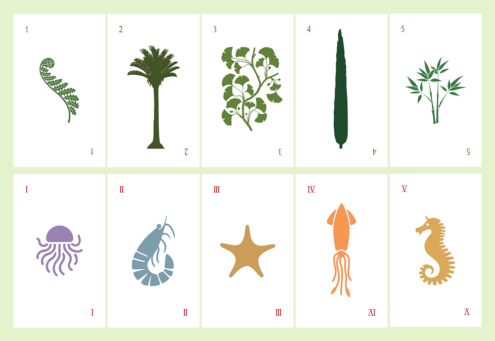 The full set: Plants and Animals