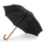 Siyah Şemsiye