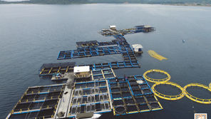 AQUATEC