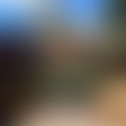 Privatisation L'ImBeertinence Lens