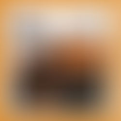 Quelles sorties à Lens, près de chez nous, en mars ?