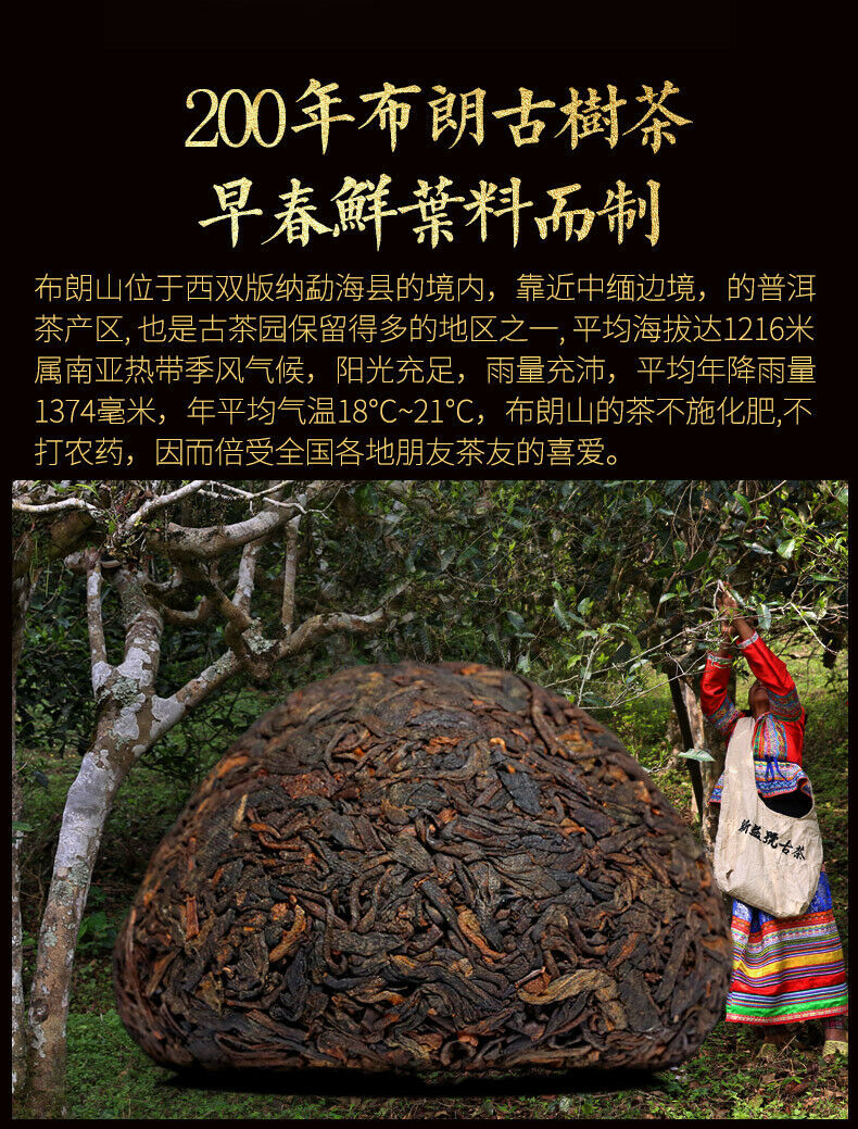 Миниатюра: 2018, Xin Yi Hao Bulang Mountain 200 Years Old Tree Tuo Cha, 100g