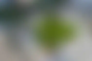 Overtown Square, City of Sarasota’s newest park, to be dedicated on Sept. 26