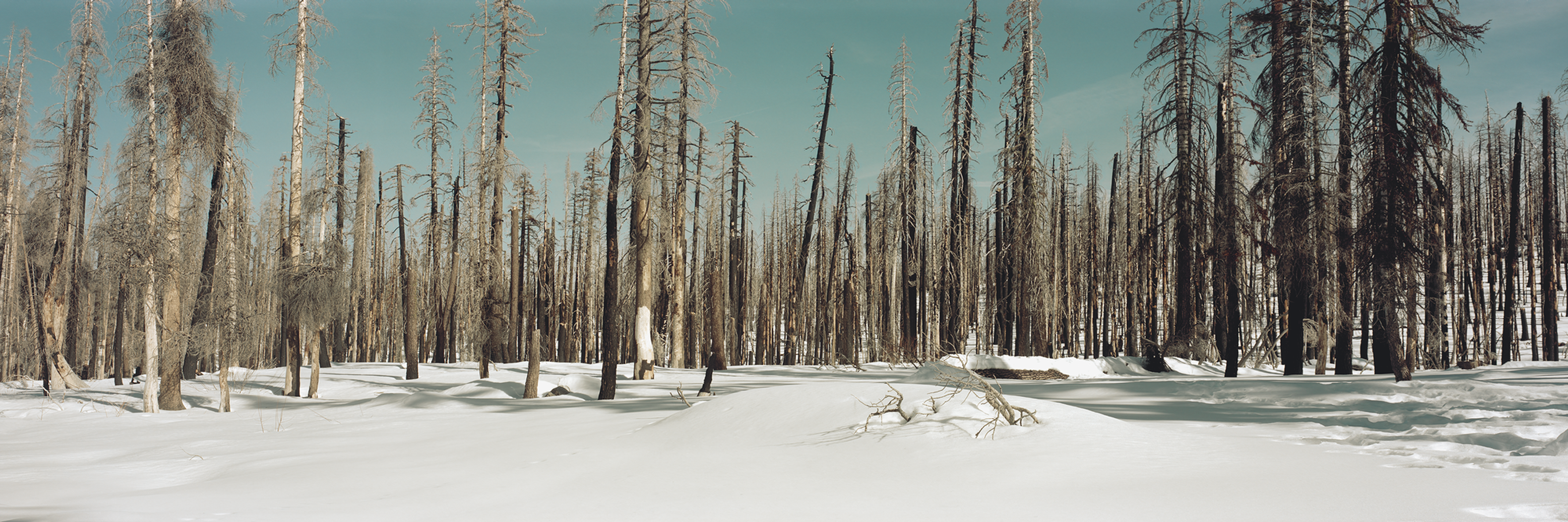The road out of Lake Tahoe. Kodak Portra 160