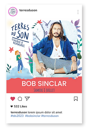 festival social media post artist
