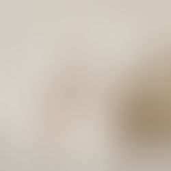 Vanessa's Shopping Guide