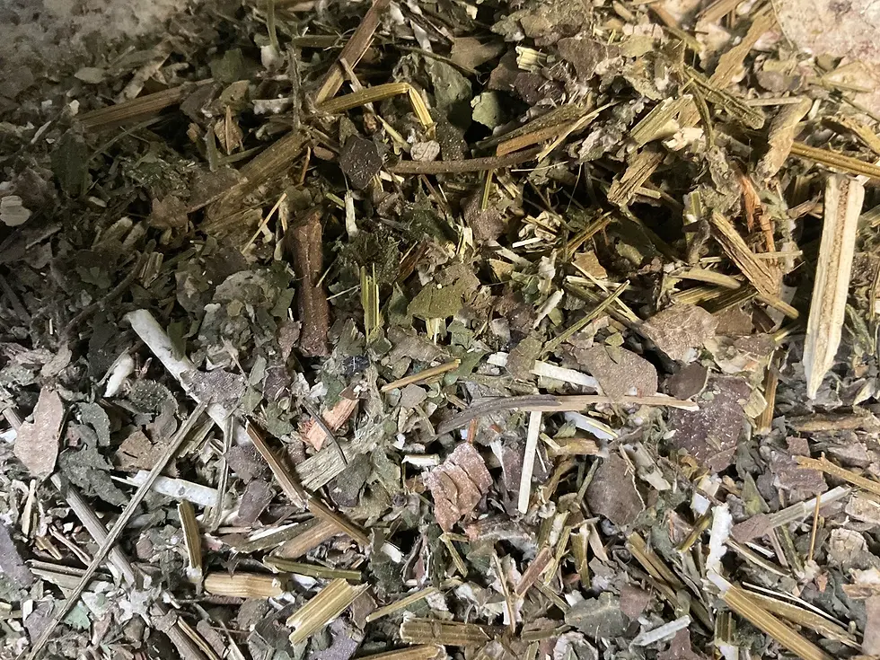 Thumbnail: Quiebrabarrigo and Senna Reticulata Tea (For Weight Loss)