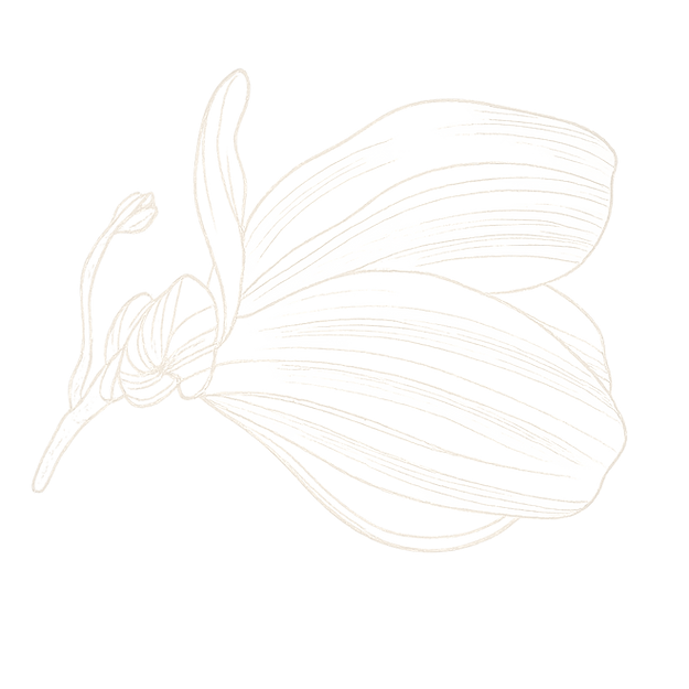 ChatGPT Image Oct 8, 2025, 10_28_26 PM_e