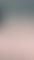 Distress Tolerance Skills (DBT)