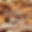photorealistic abstract image of many open books and open pages.jpg