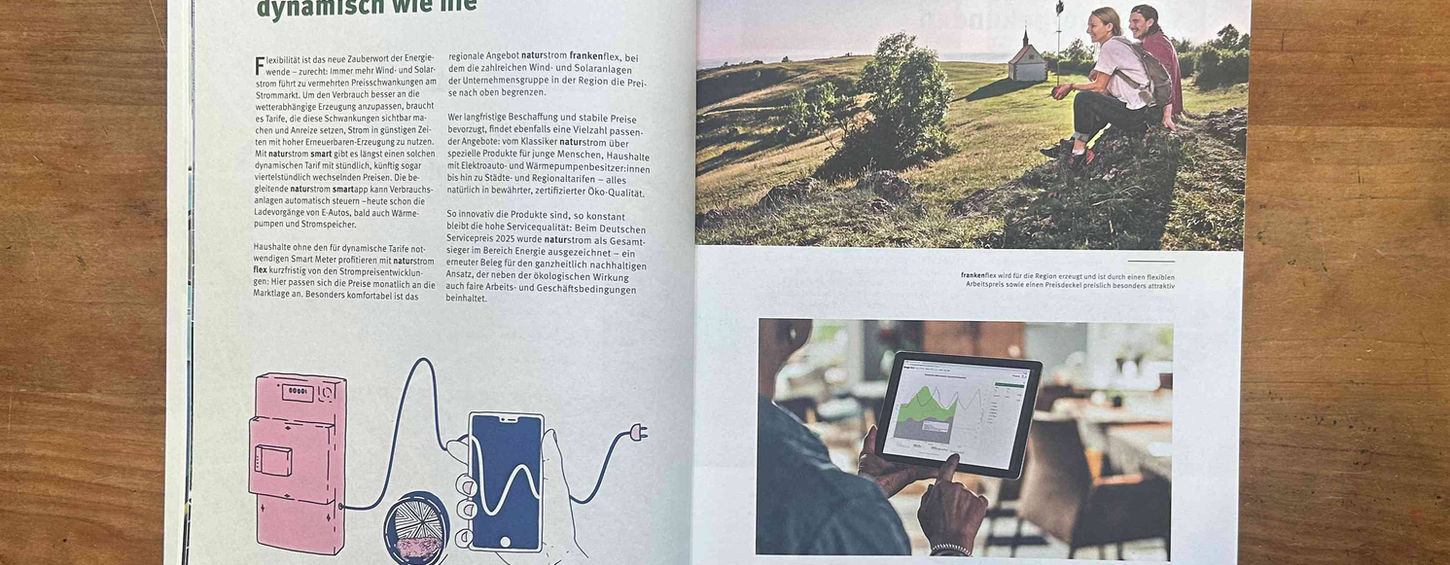 naturstrom AG Geschäftsbericht Illustration von Luca Schöpp