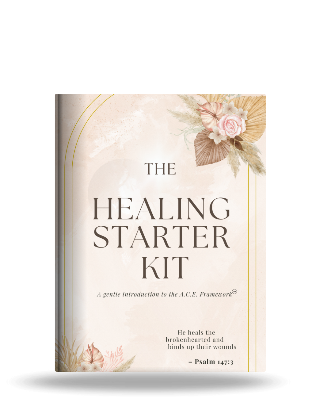 The Healing Starter Kit