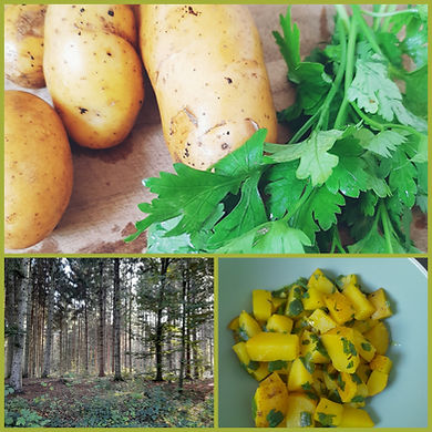 Entschlackungs Beitrag.jpg