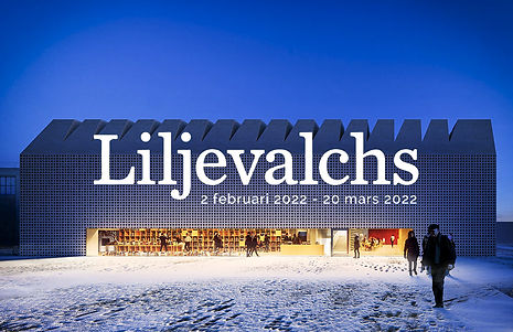 princess-svanevit_liljevalchs-2022_.jpg