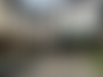 今朝は薄陽の射す天気です。