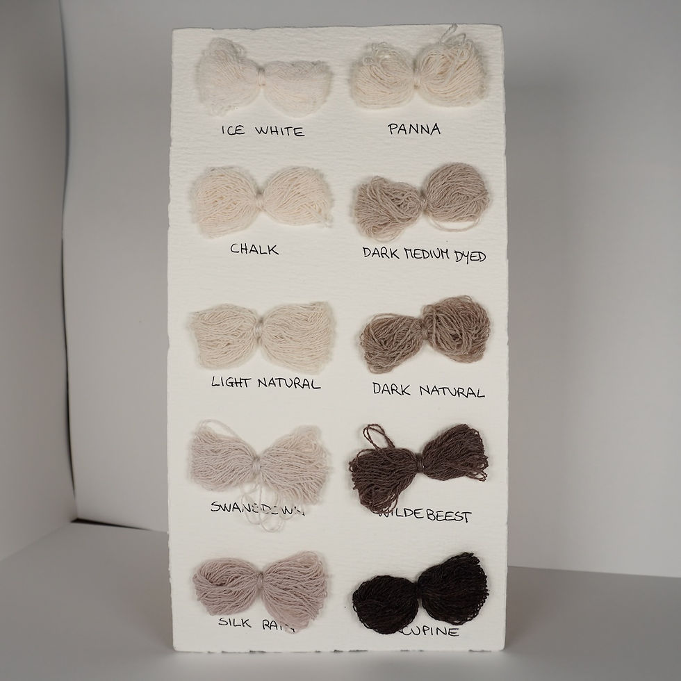 Thumbnail: CK20 カステムメイドのカシミヤパーカー