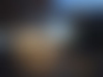 穏やかな春の陽気です。