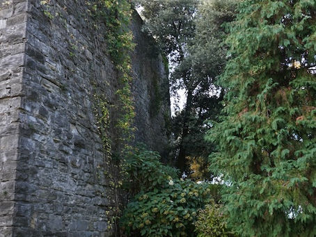 夜の人出はイマイチ