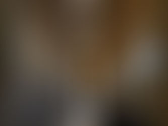 今日はイタリアから秋冬物が到着いたしました。