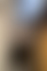 本日の臨時休業のお知らせです。