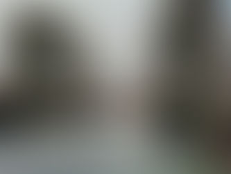 シーアイランドコットンのブルゾンをショート動画をアップ