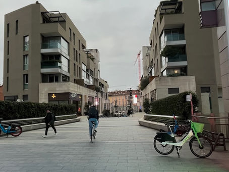 シーアイランドコットンのブルゾンをショート動画をアップ