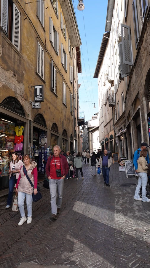 新商品をストーリーズでご紹介