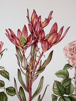 original watercolour