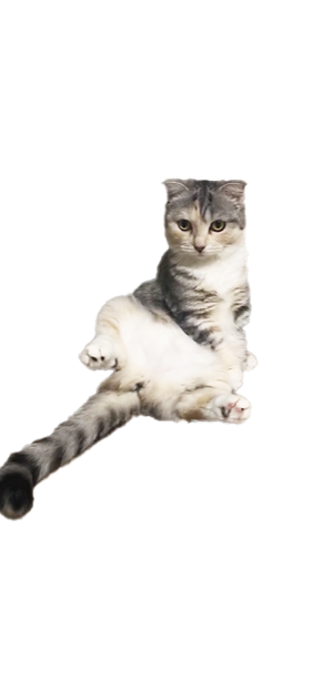 チカ.png