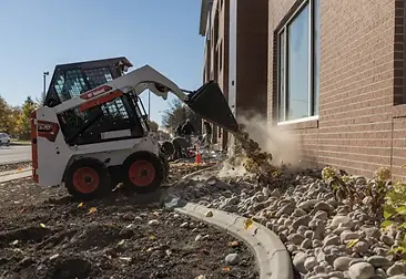 bobcat.png