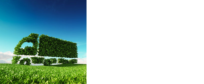 France Page Green.jpg