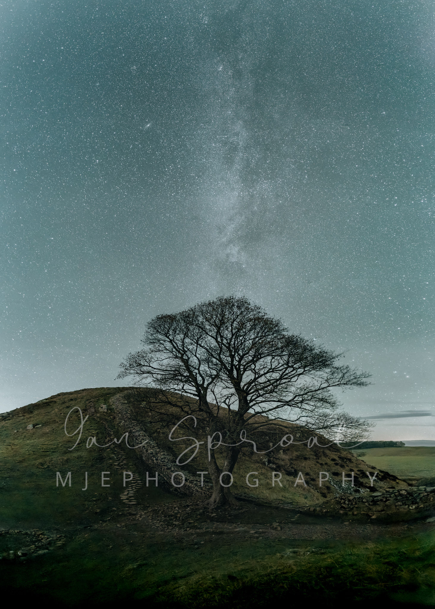 Sycamore gap - a winters tale