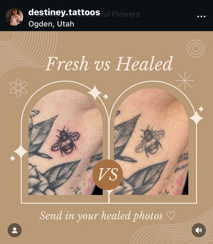 Fresh vs Healed Comparison | Bee Tattoo