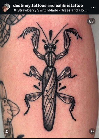 Bug Tattoo Series (Part 1/3)