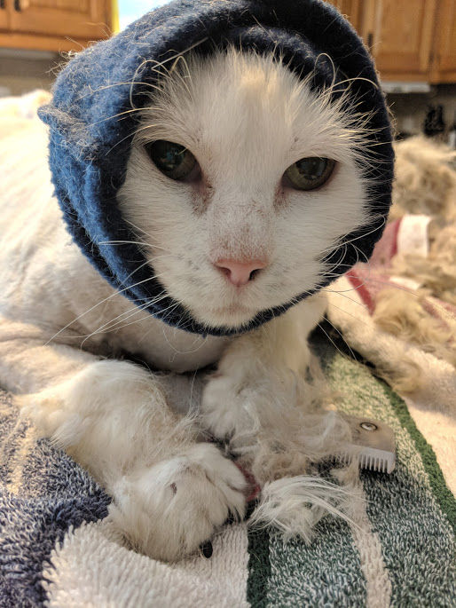 Pishie Hat