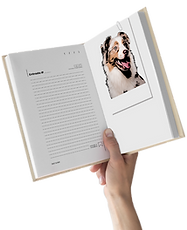 Untitled Project (4).png