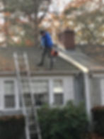 hudson landscaping fall cleanup