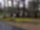 hudson landscaping leland trees