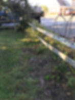 HudsonLandscapingGardenBefore