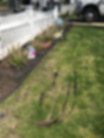 hudson landscaping new bed plantings