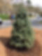 hudson landscaping planting trees